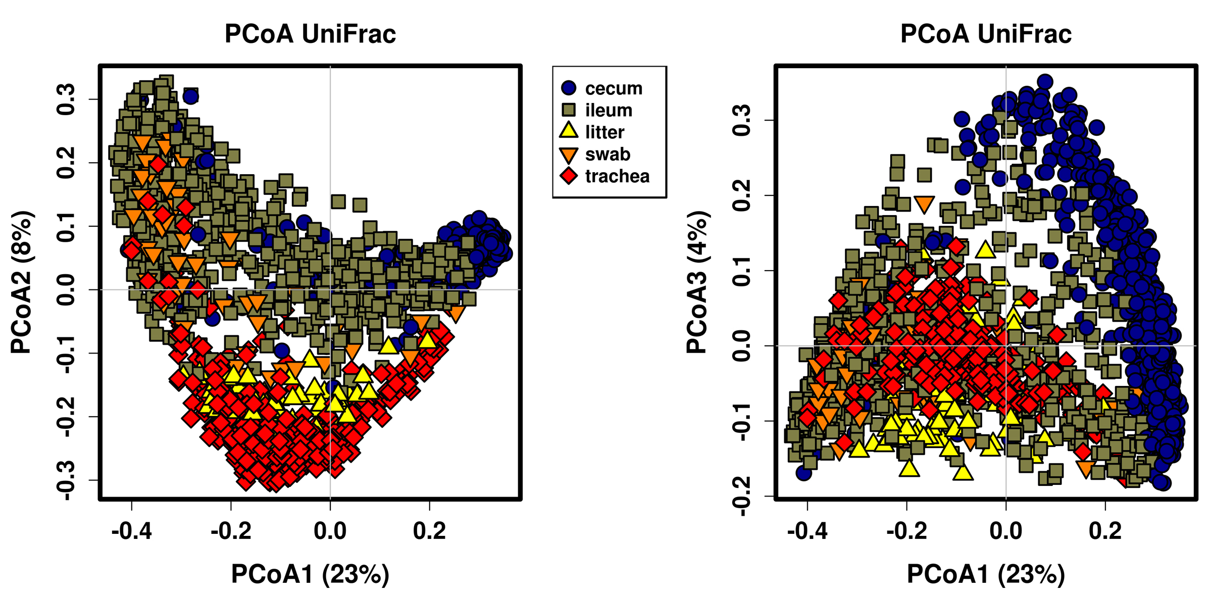 A consistent and predictable commercial broiler chicken bacterial ...