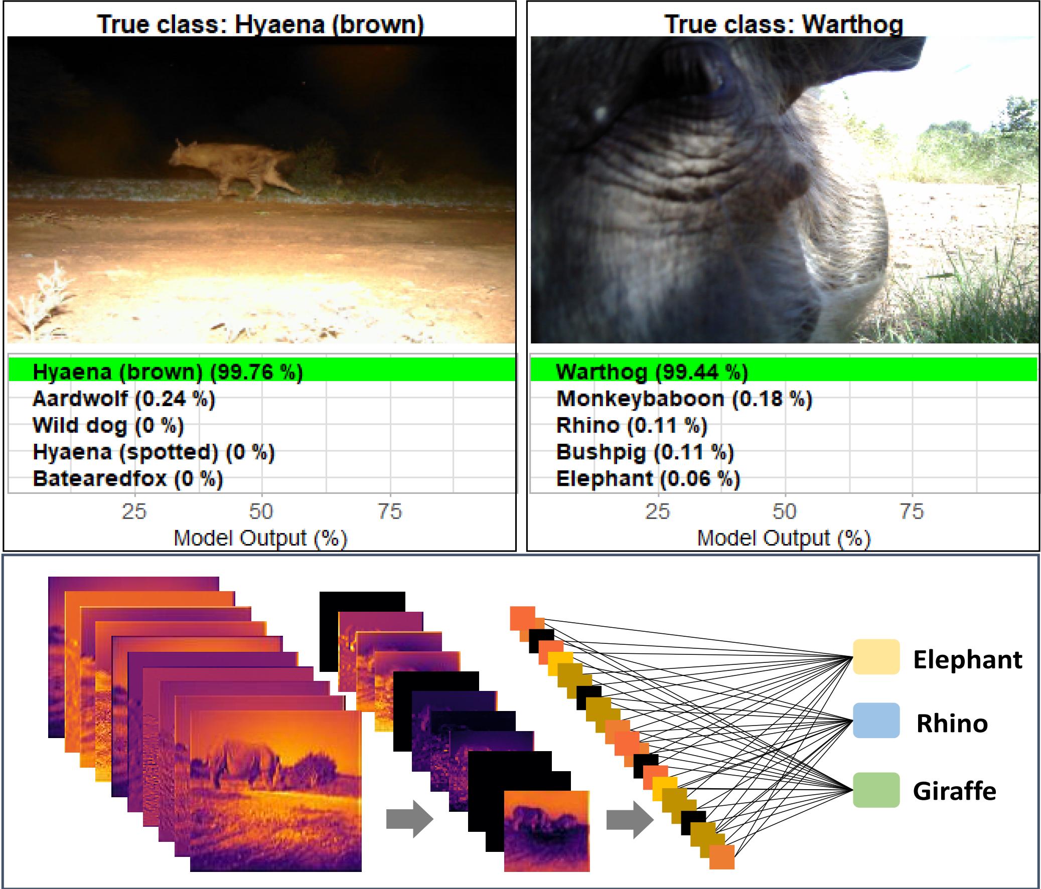 Software, Data & Models used in Software, Data & Models used in
