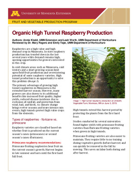 autossh reverse tunnel raspberry pi autossh reverse tunnel raspberry pi