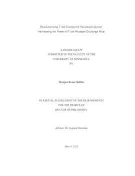 thesis dissertation umn Thumbnail